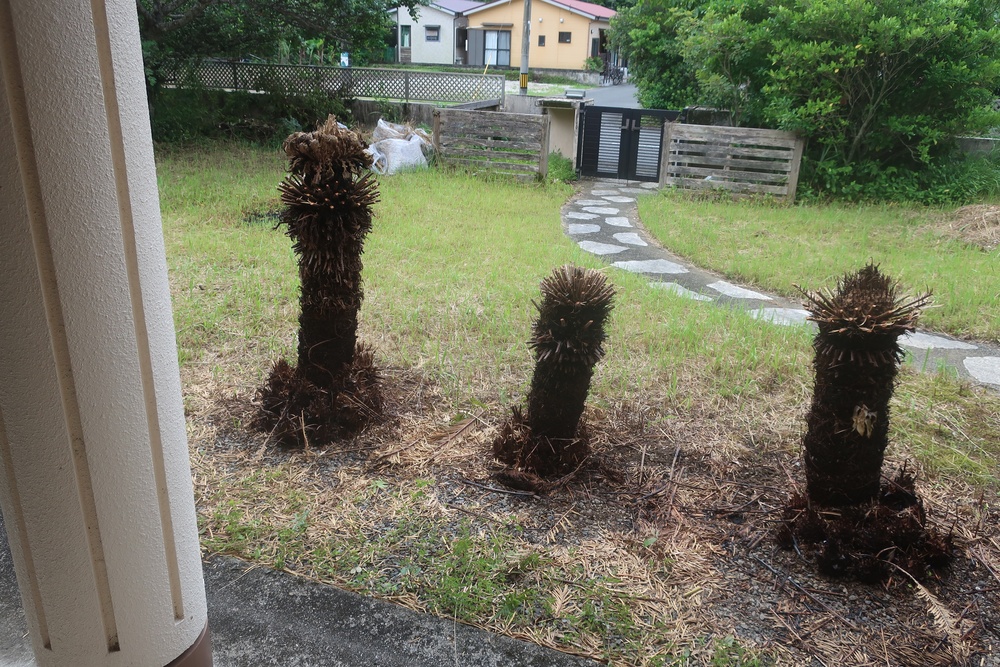 チョコレート色って