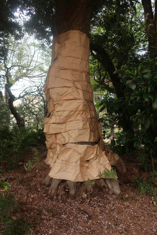 チョコレート色って