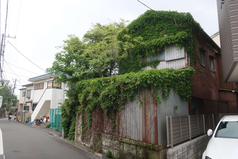 角の緑