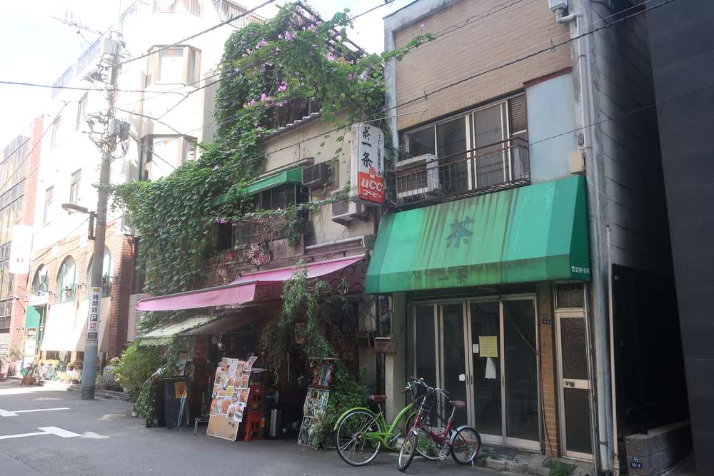 角の緑