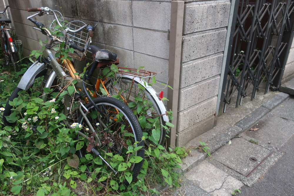 角の緑