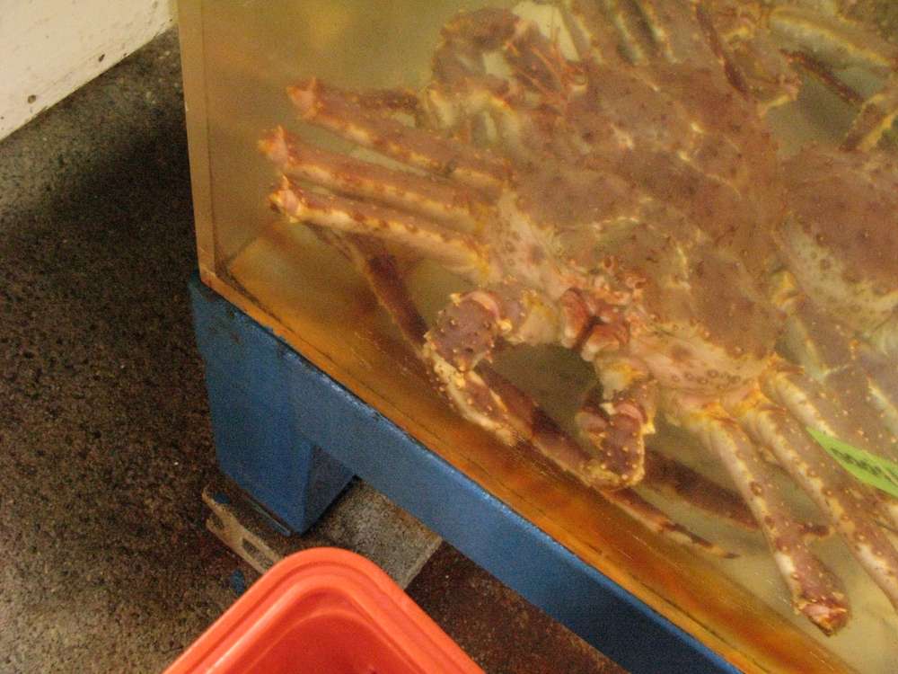 水に生きる