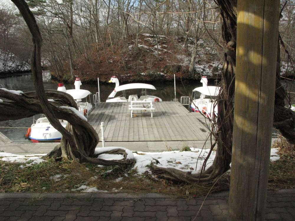水に生きる
