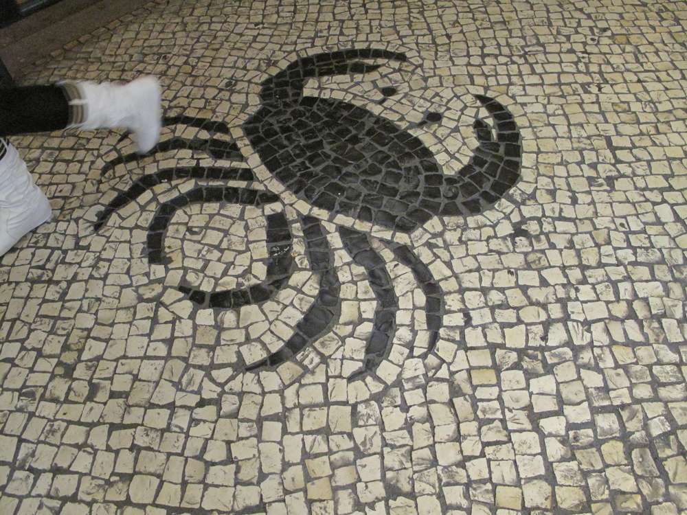 水に生きる