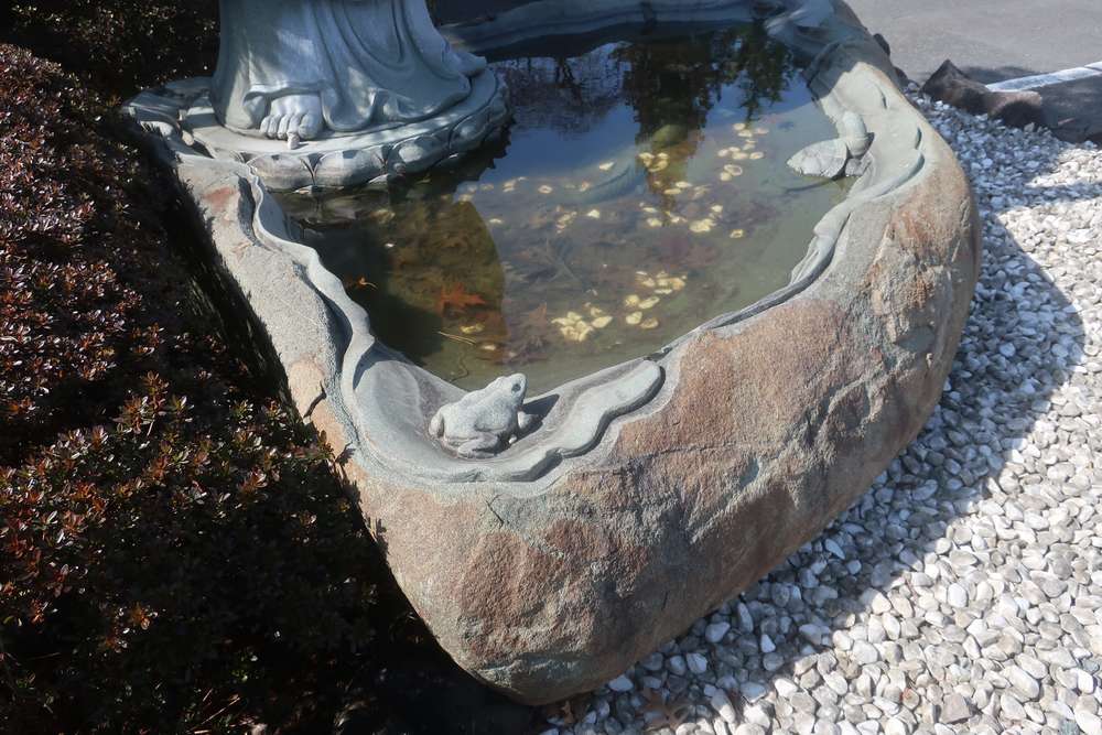 水に生きる