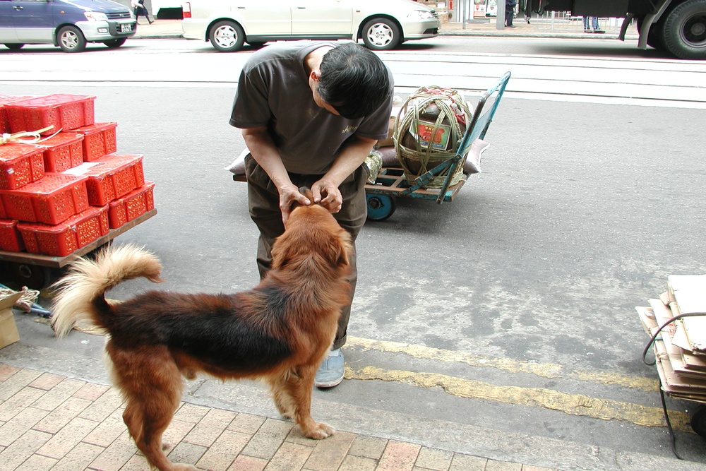 白生き物のこと