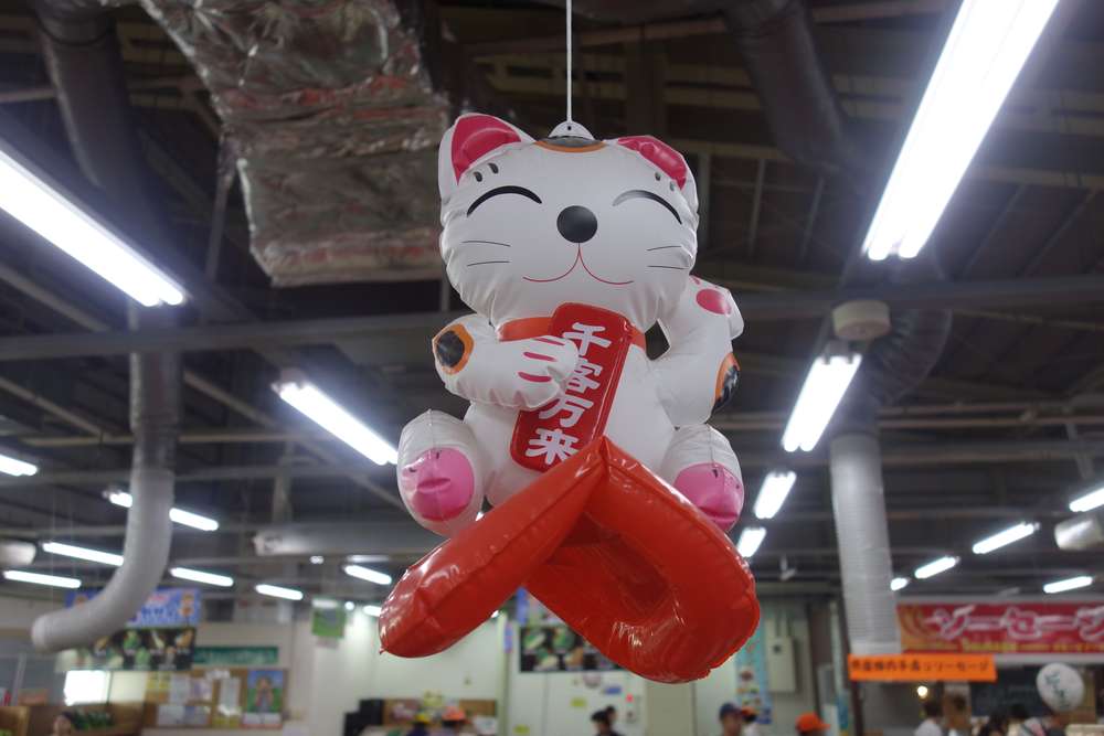 ねこ