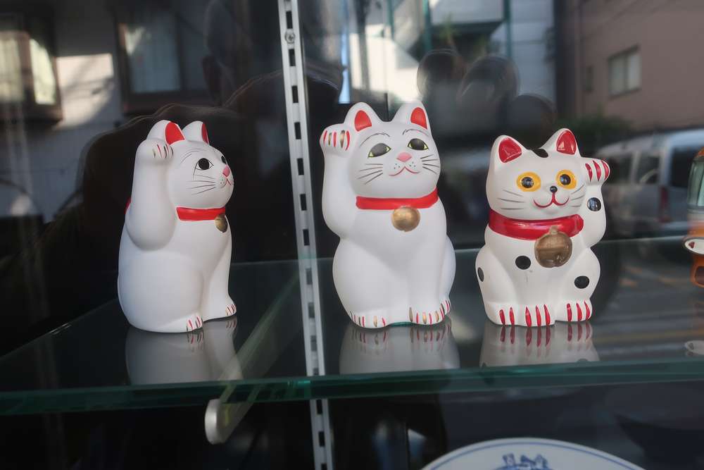 ねこ