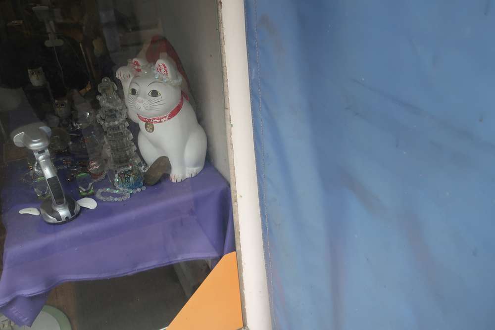 ねこ