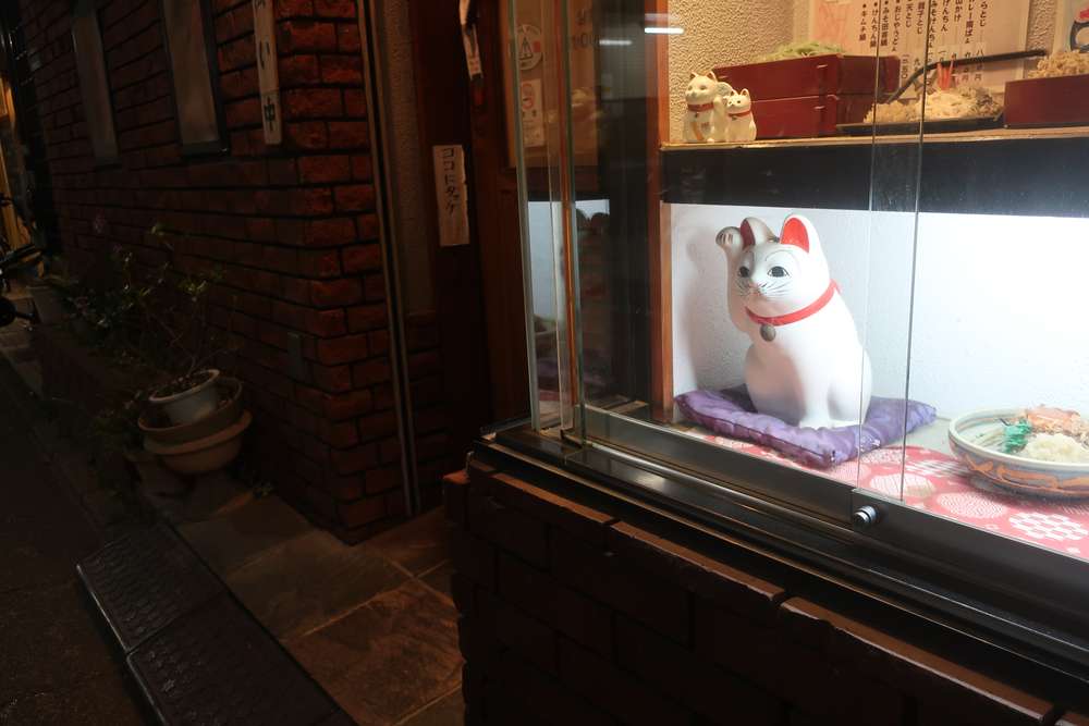 ねこ
