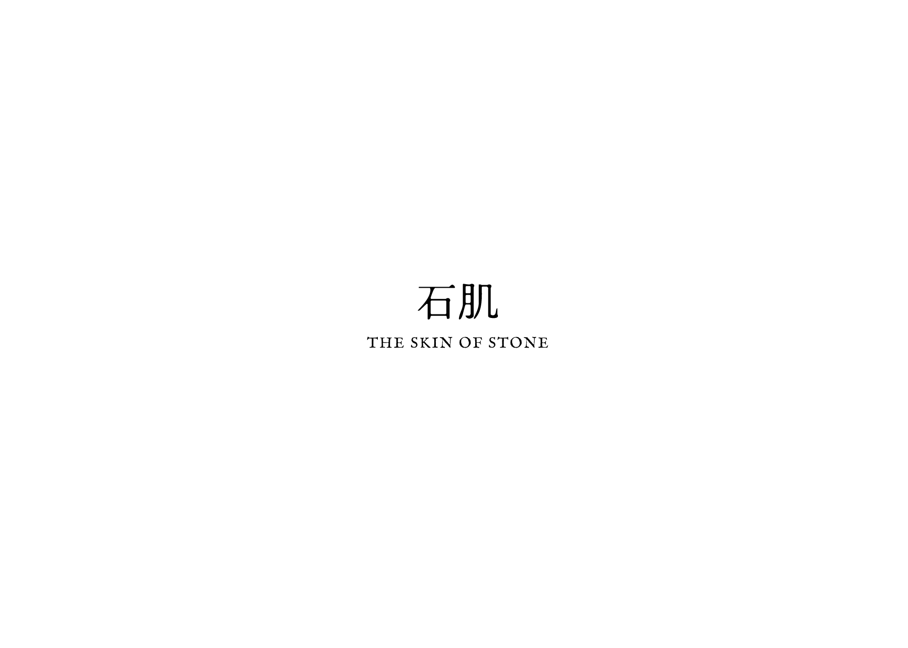タイトル 石肌
